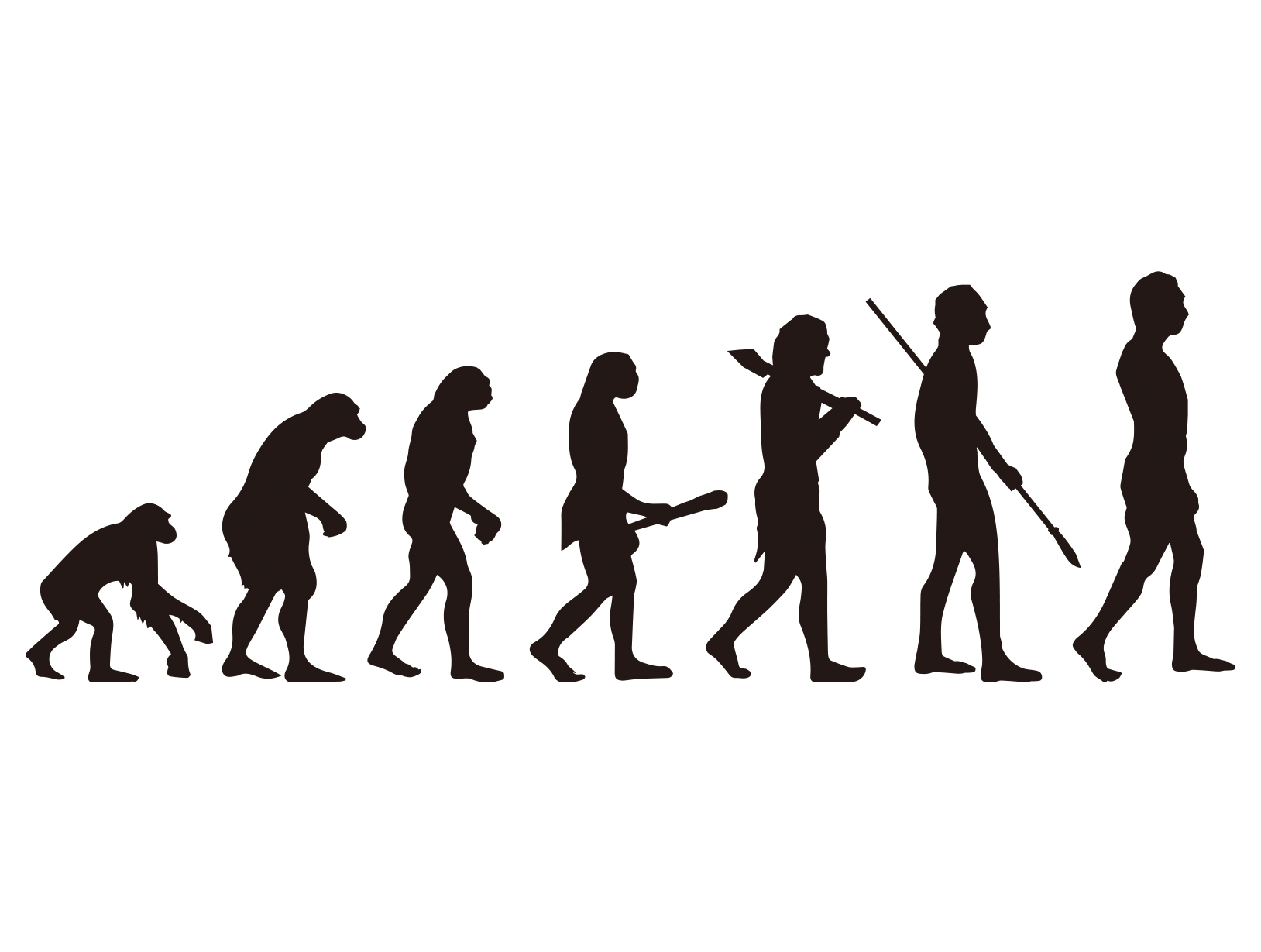 進化の過程